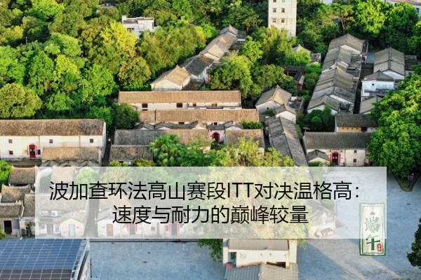 bo-jia-cha-huan-fa-gao-shan-sai-duan-dui-jue-wen-ge-gao-su-du-yu-nai-li-de-dian-feng-jiao-liang-3-266.jpg