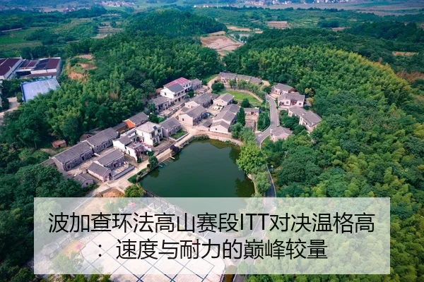 波加查环法高山赛段ITT对决温格高：速度与耐力的巅峰较量
