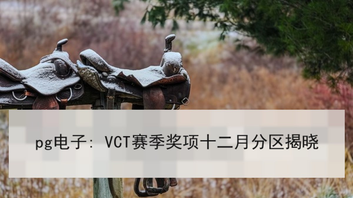 pg电子: VCT赛季奖项十二月分区揭晓