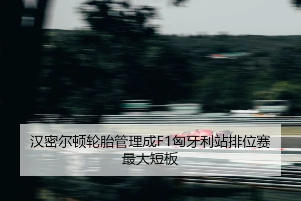han-mi-er-dun-lun-tai-guan-li-cheng-xiong-ya-li-zhan-pai-wei-sai-zui-da-duan-ban-2-951.jpg