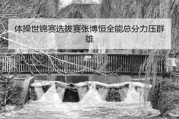 体操世锦赛选拔赛张博恒全能总分力压群雄