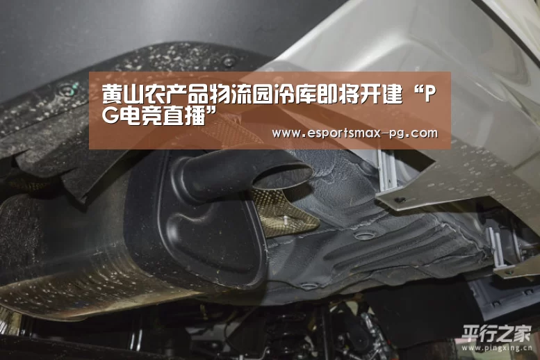 PG电竞直播