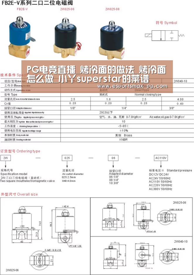 PG电竞直播_烤冷面的做法_烤冷面怎么做_小丫superstar的菜谱