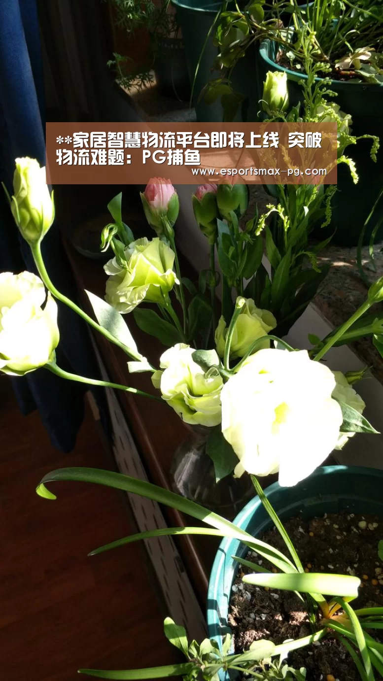 **家居智慧物流平台即将上线 突破物流难题:PG捕鱼(图3) PG捕鱼