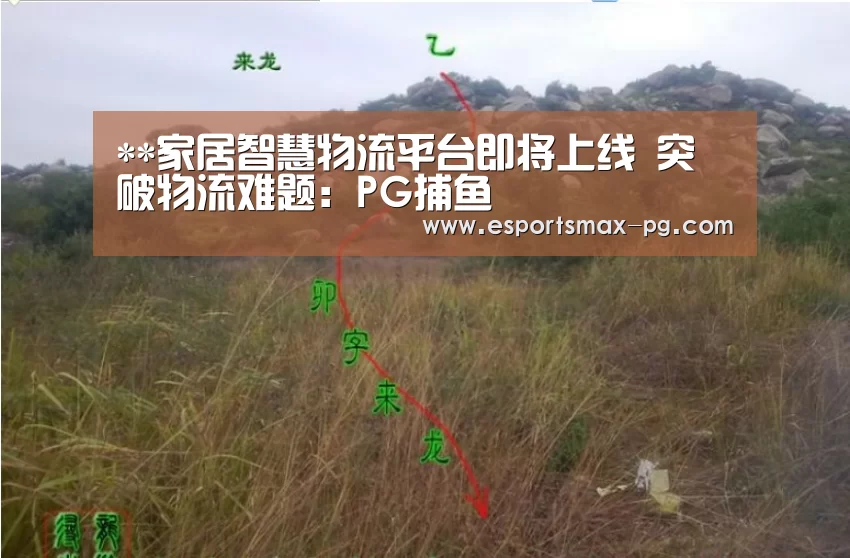 **家居智慧物流平台即将上线 突破物流难题：PG捕鱼
