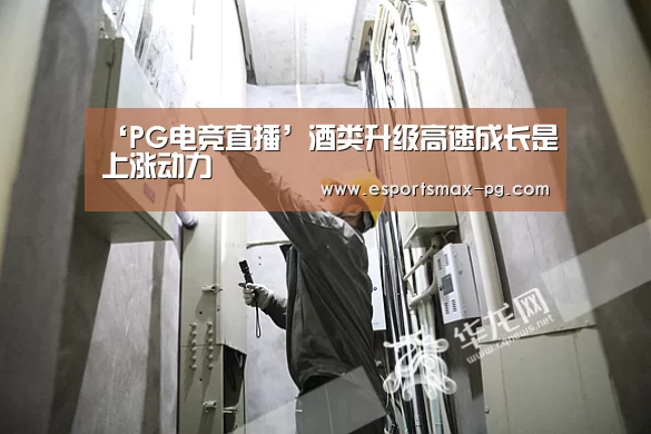 PG体育