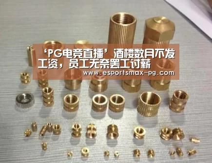 PG体育
